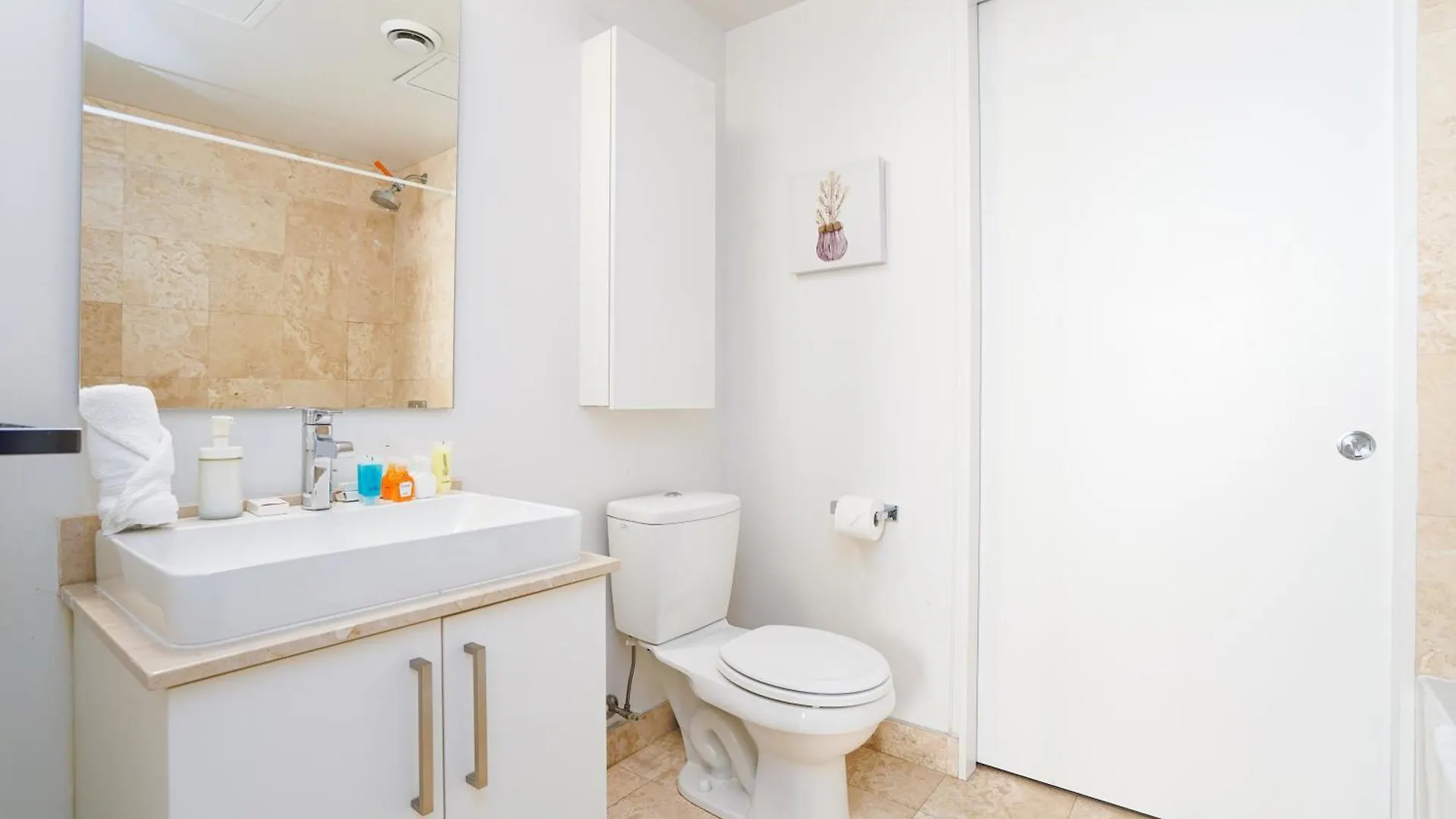 Downtown Toronto 2 Bedrooms Condo Lejlighed